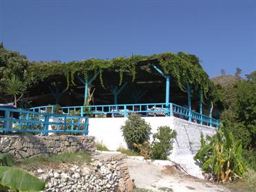 2005 Samos DSC05356_478